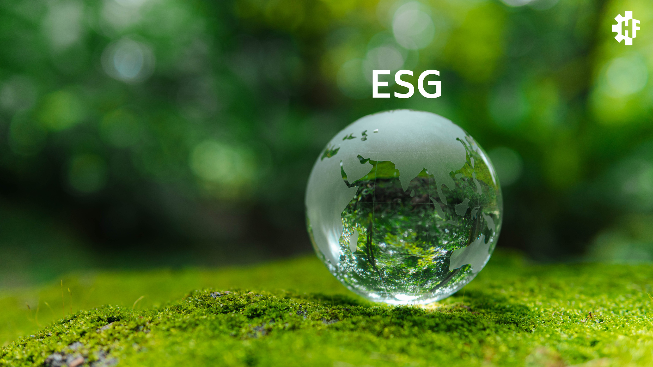 Certificazione ESG: Un passo avanti per la sostenibilità in HF Group